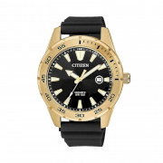 Đồng hồ nam Citizen BI1041-22L Mẫu vàng, Size 42
