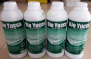 Chất hạ khí độc ao tôm, cá Yucca 30% - 1kg/chai