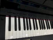 Piano Korg C5500 - màu đen