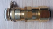 Cable Gland CMP E1FX M20 Brass