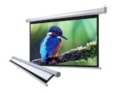 Màn chiếu treo tường 120 inch Dalite - P84WS (2,13m x 2,13m)