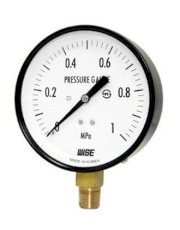 Đồng hồ đo áp suất Wise - P110