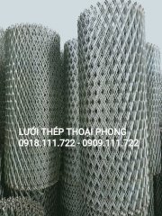 Lưới mắt cáo Thoại Phong 07