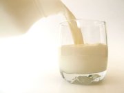 Tinh mùi sữa tươi - Trần Tiến - Milk