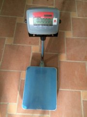 Cân bàn điện tử Ohaus USA D24PE 100kg/20g