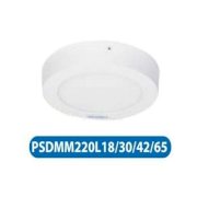 Đèn LED ốp nổi 18W PSDMM220L18 Paragon