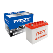 Ắc Quy TROY NS60L(S) (12V045ah) cọc lớn - nghịch