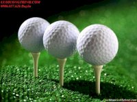 Cung Cấp Banh Golf Các Loại, Banh In Logo, Banh Nổi, Bánh,2 Lớp