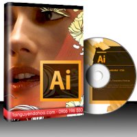 Đĩa Cài Đặt Adobe Illustrator Cs6