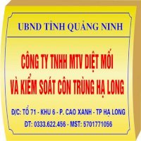 Công Ty Diệt Mối Tận Gốc Và Diệt Côn Trùng Gây Hại Tại Quảng Ninh