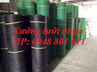 Lưới Nhựa Màu Trắng 1Cm Dùng Phơi Cá Và Phơi Hoa Quả Khô