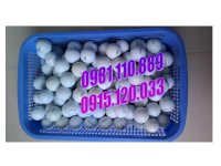 Bóng Chơi Golf 1 2 3 Lớp Giá Cạnh Tranh