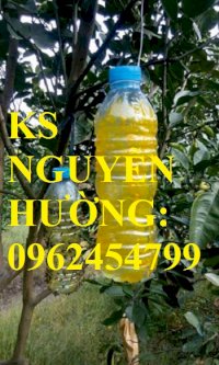 Cung Cấp Bình Xịt Ruồi Vàng, Thuốc Diệt Ruồi Vàng, Thuốc Bảo Vệ Thực Vật, Giao Hàng Toàn Quốc