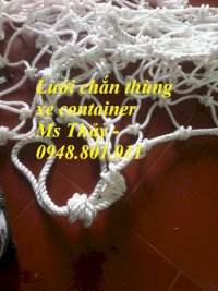 Lưới Chặn An Toàn Cho Hàng Hóa, Lưới Chắn Cửa Container, Lưới Bảo Vệ Hàng Hóa Trên Thùng Xe