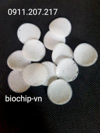 Giá Thể Bio-Chip Việt Nam