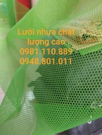 Lưới Nhựa Cứng Dẻo ,Lưới Nhựa Xanh Bẻ Không Gãy