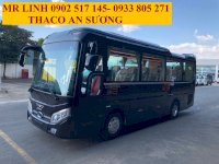 Mua Bán Xe Bus 29 Chổ Thaco Bầu Hơi,Giá Xe Khách 29 Chổ Thaco Garden Tb79S