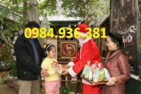Cho Thue Do Ong Gia Noel O Da Nang -