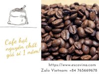 Cà Phê Arabica Cầu Đất Giá Sỉ Đóng 1Kg Cho Đối Tác Kinh Doanh