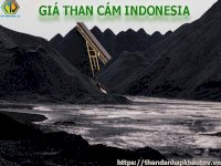 Giá Than Cám Indonesia