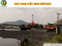 Giá Than Việt Nam Hôm Nay Tại Công Ty Tnv Hải Dương