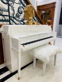 Nên Mua Đàn Piano Cơ Hay Piano Điện - Đức Trí Music