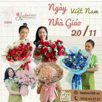 Hoa Đẹp Chúc Mừng Ngày Nhà Giáo Việt Nam - Hoa Tươi 360