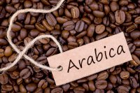 Cà Phê Arabica Có Gì Đặc Biệt Và Là Loại Cafe Gì ?