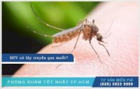 Muỗi Đốt Có Lây Truyền Hiv Không?