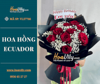 Bó Hoa Hồng Ecuador - Chỉ Yêu Mình Em