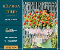Hộp Hoa Tulip Xinh - Ban Mai Rực Rỡ