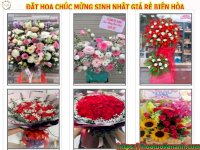 Đặt Hoa Mừng Sinh Nhật Giá Rẻ Tại Phường Tam Hiệp, Biên Hòa, Đồng Nai