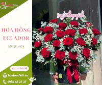 Hộp Hoa Hồng Ecuador - Trọn Đời Trọn Kiếp