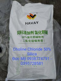 Choline Chloride 50% Silica Havay - Phụ Gia Thức Ăn Chăn Nuôi - Dinh Dưỡng Vật Nuôi - Vitamin B4