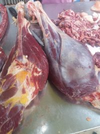 Chuyên Cung Cấp Các Sản Phẩm Từ Thịt Đà Điểu Uy Tín Tại Hà Nội