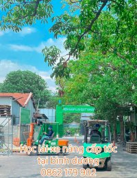 Tuyển Sinh Học Kèm Lái Xe Nâng Nhanh Chóng Tại Biên Hòa, Đồng Nai