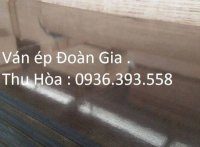 Ván Ép Cốp Pha Phủ Phim 230K- Nam Định