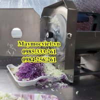 Máy Thái Lát Rau Củ Quả Inox Bằng Điện