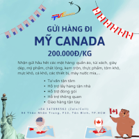 Hàng Bay Đi Mỹ Canada Giá Rẻ Tại Tiến Việt Express