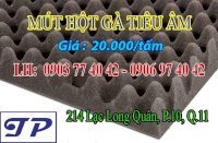 Mút Hột Gà (Kt : 50Cm X 50Cm) Dày 5Cm