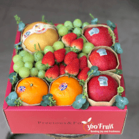 360 Fruit - Mẫu Giỏ Trái Cây Tết Chất Lượng, Giá Tốt