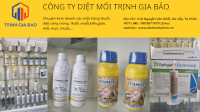 Diệt Mối Tủ Bếp Trịnh Gia Bảo | Diệt Mối Tủ Bếp Tại Nhà