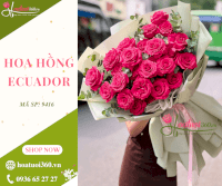 Bó Hoa Hồng Eduador - Ở Sâu Trong Tim