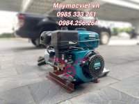 Máy Hút Bùn Biogas Chạy Xăng 5.5Hp Giá Rẻ - Máy Bơm Nước