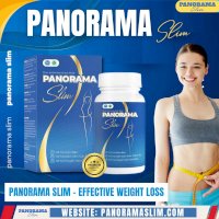 Panorama Slim - Effective Weight Loss