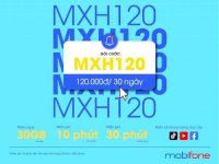 Mxh120 - Gọi Điện Thoải Mái + Lướt Web Thả Ga Chỉ 120K/Tháng