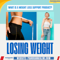 What Is A Weight Loss Support Product Panoramaslim