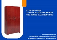 Lý Do Nên Chọn Tủ Quần Áo Gỗ Công Nghiệp Cho Không Gian Phòng Ngủ