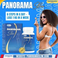 Create New Opportunities With Panorama Slim