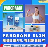 Reduce Belly Fat With Panorama Slim